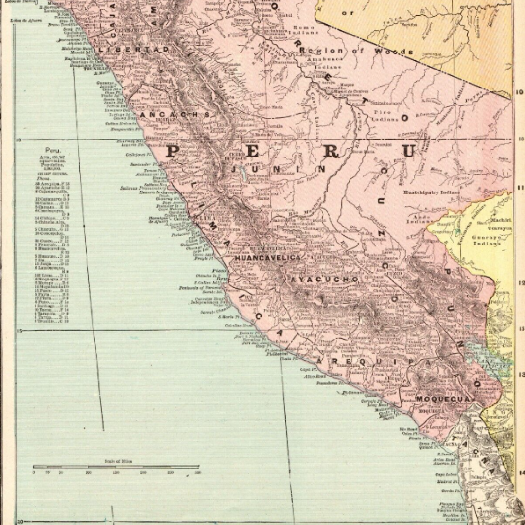 Sargeantson 90% Peru (Junín)