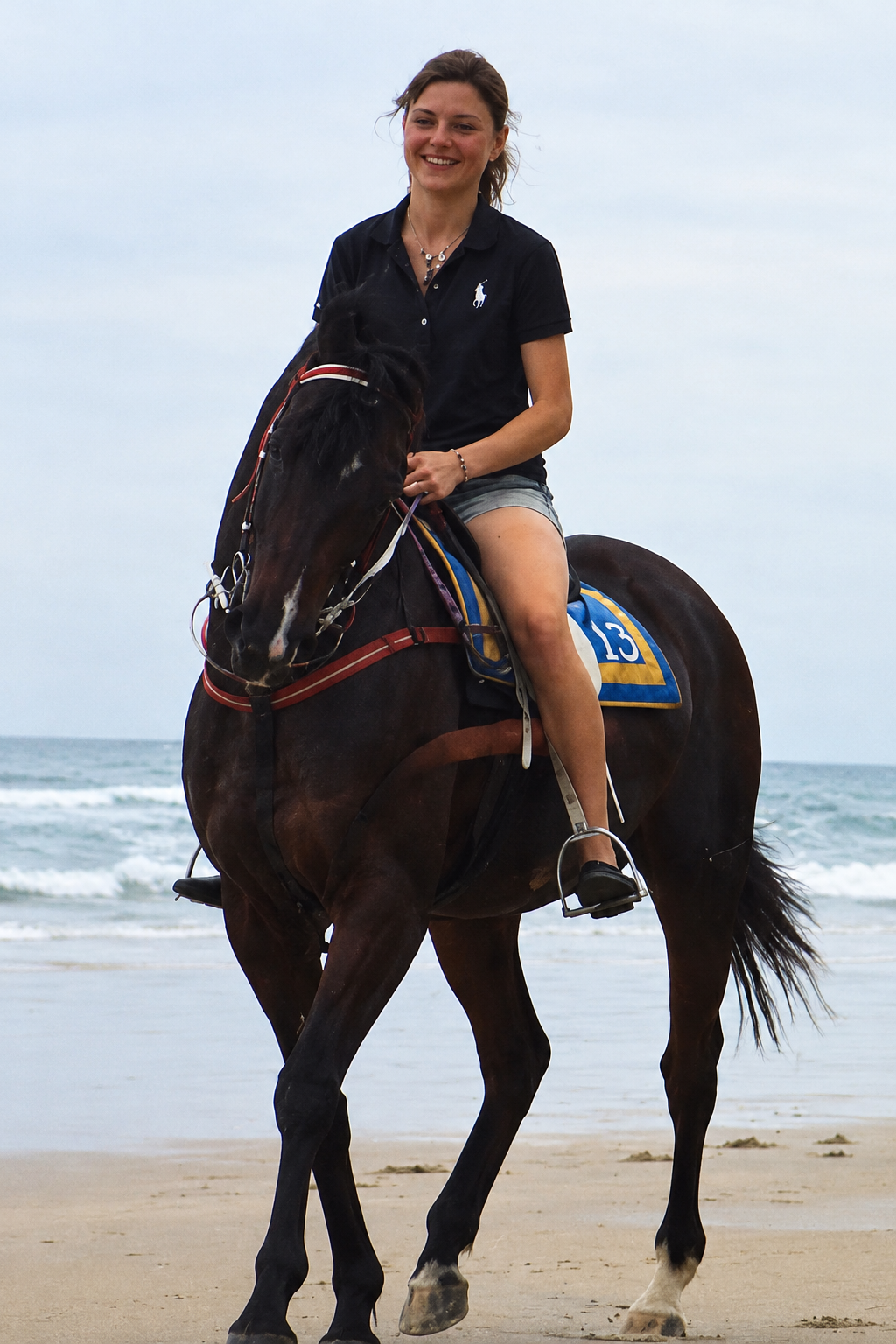Woman riding a dark horse on the beach