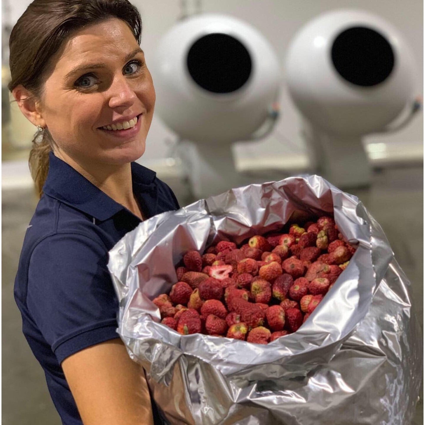 Sargeantson original Milk freeze dried strawberries - Amy Sargeantson